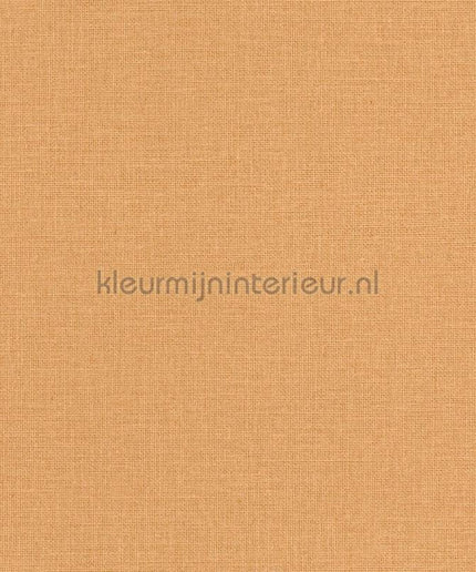 Caselio Jute JTE104013000 | Bestellen bij https://www.kleurmijninterieur.nl/