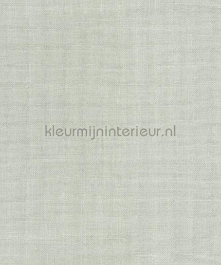 Caselio Jute JTE104017000 | Bestellen bij https://www.kleurmijninterieur.nl/