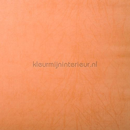 Rodeka Innovations gpw-ivsd-121 | Bestellen bij https://www.kleurmijninterieur.nl/