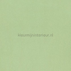 Benif Metalen ms09 | Bestellen bij https://www.kleurmijninterieur.nl/