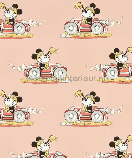 Sanderson Disney HOME x Sanderson DDIW217268 | Bestellen bij https://www.kleurmijninterieur.nl/