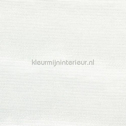 Elitis Moire RM 1026 01 | Bestellen bij https://www.kleurmijninterieur.nl/