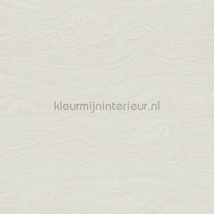 Hookedonwalls New Wave 24846 | Bestellen bij https://www.kleurmijninterieur.nl/