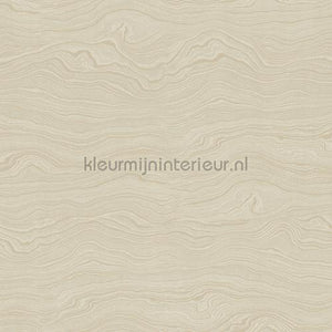 Hookedonwalls New Wave 24847 | Bestellen bij https://www.kleurmijninterieur.nl/