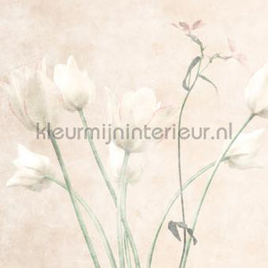 AS Creation Walls by Patel 3 DD122396 | Bestellen bij https://www.kleurmijninterieur.nl/