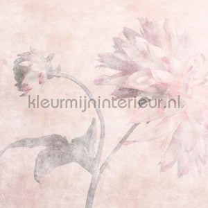 AS Creation Walls by Patel 3 DD122392 | Bestellen bij https://www.kleurmijninterieur.nl/