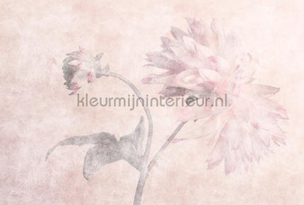 AS Creation Walls by Patel 3 DD122392 | Bestellen bij https://www.kleurmijninterieur.nl/