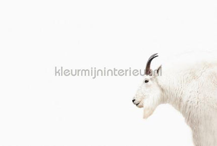 Livingwalls ARTist dd119809 | Bestellen bij https://www.kleurmijninterieur.nl/