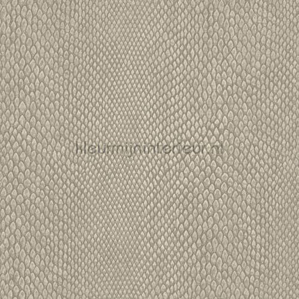 Hookedonwalls Leopard Walk 15332 | Bestellen bij https://www.kleurmijninterieur.nl/