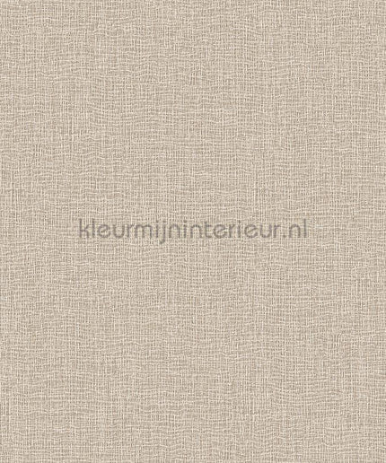 Dutch Wallcoverings Exclusive Threads TP422922 | Bestellen bij https://www.kleurmijninterieur.nl/