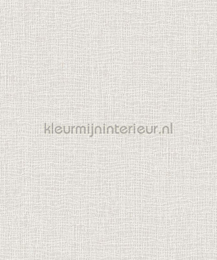 Dutch Wallcoverings Exclusive Threads TP422921 | Bestellen bij https://www.kleurmijninterieur.nl/
