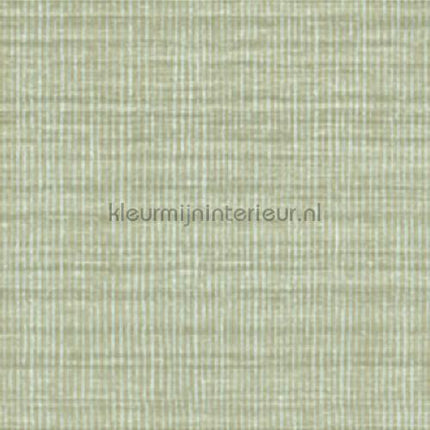 Elitis Soie changeante VP 929 40 | Bestellen bij https://www.kleurmijninterieur.nl/