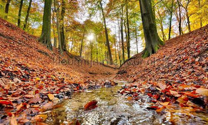 Noordwand Holland 6604 | Bestellen bij https://www.kleurmijninterieur.nl/