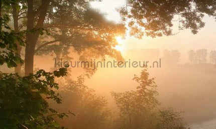 Noordwand Holland 4646 | Bestellen bij https://www.kleurmijninterieur.nl/
