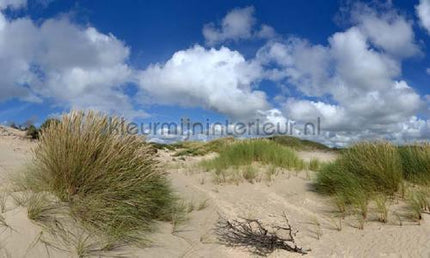 Noordwand Holland 1434 | Bestellen bij https://www.kleurmijninterieur.nl/