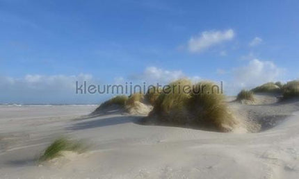 Noordwand Holland 477 | Bestellen bij https://www.kleurmijninterieur.nl/
