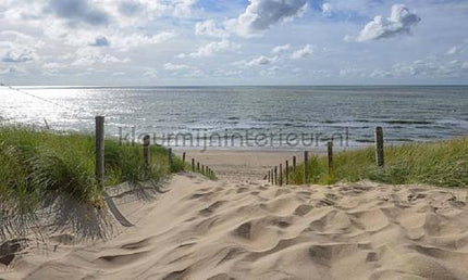 Noordwand Holland 1508 | Bestellen bij https://www.kleurmijninterieur.nl/