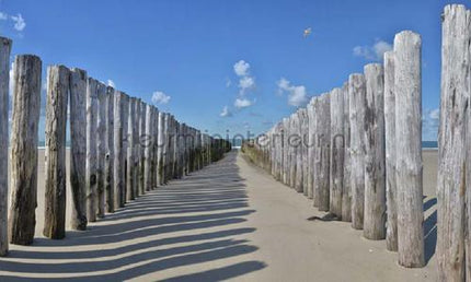 Noordwand Holland 5533 | Bestellen bij https://www.kleurmijninterieur.nl/