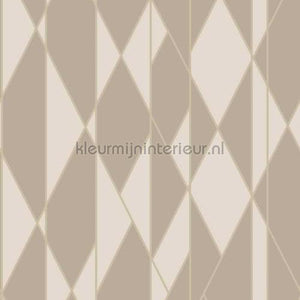 Cole and Son Geometric II 105-11046 | Bestellen bij https://www.kleurmijninterieur.nl/