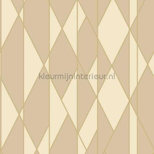 Cole and Son Geometric II 105-11047 | Bestellen bij https://www.kleurmijninterieur.nl/