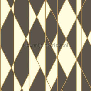 Cole and Son Geometric II 105-11049 | Bestellen bij https://www.kleurmijninterieur.nl/