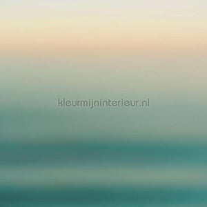 Komar INK INX8-068 | Bestellen bij https://www.kleurmijninterieur.nl/