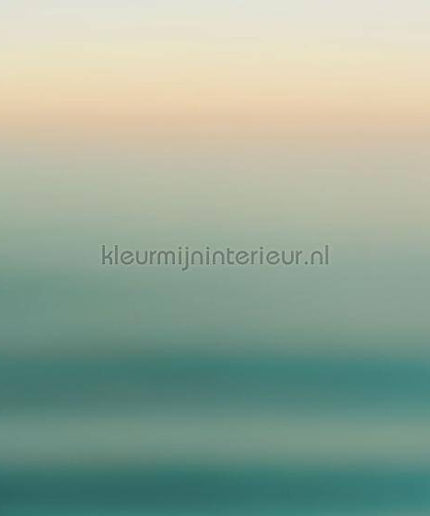Komar INK INX8-068 | Bestellen bij https://www.kleurmijninterieur.nl/