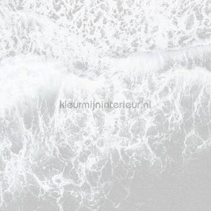 Komar RAW R2-011 | Bestellen bij https://www.kleurmijninterieur.nl/
