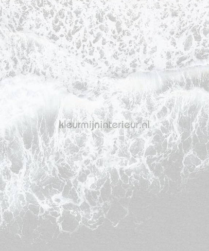 Komar RAW R2-011 | Bestellen bij https://www.kleurmijninterieur.nl/