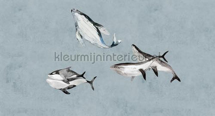 AS Creation Walls by Patel 3 DD122012 | Bestellen bij https://www.kleurmijninterieur.nl/