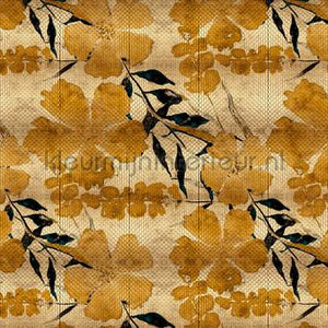 AS Creation Walls by Patel 3 DD122976 | Bestellen bij https://www.kleurmijninterieur.nl/
