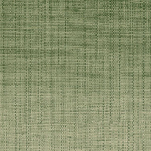 Crocodile | kleurmijninterieur