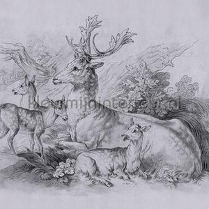 AS Creation Walls by Patel 3 DD122384 | Bestellen bij https://www.kleurmijninterieur.nl/