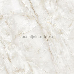 Bodaq Marmer pm003 | Bestellen bij https://www.kleurmijninterieur.nl/