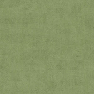 35271 | kleurmijninterieur