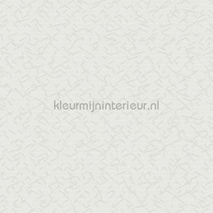 Hookedonwalls New Wave 24839 | Bestellen bij https://www.kleurmijninterieur.nl/
