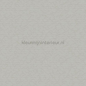 Hookedonwalls New Wave 24840 | Bestellen bij https://www.kleurmijninterieur.nl/