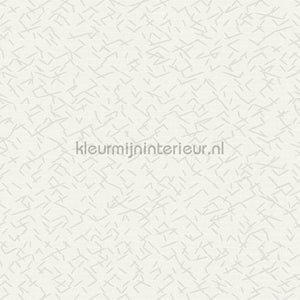 Hookedonwalls New Wave 24841 | Bestellen bij https://www.kleurmijninterieur.nl/