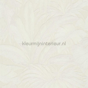 Versace wallpaper Versace 5 962402 | Bestellen bij https://www.kleurmijninterieur.nl/