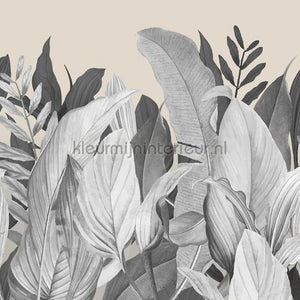 Hookedonwalls Caribbean 27200 | Bestellen bij https://www.kleurmijninterieur.nl/