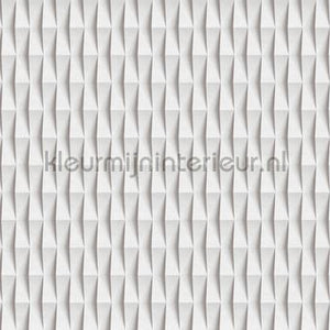 AS Creation Walls by Patel 3 DD122688 | Bestellen bij https://www.kleurmijninterieur.nl/