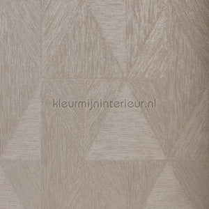 Casamance Metal textures 75770712 | Bestellen bij https://www.kleurmijninterieur.nl/