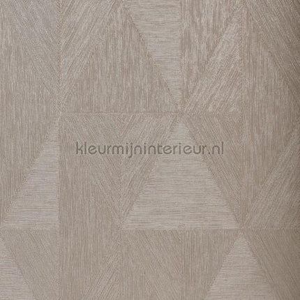 Casamance Metal textures 75770712 | Bestellen bij https://www.kleurmijninterieur.nl/