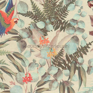 Hookedonwalls Lemuria 60621 | Bestellen bij https://www.kleurmijninterieur.nl/