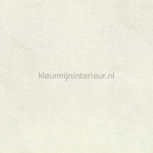 Elitis Rayures Jumelles RM-1045-01 | Bestellen bij https://www.kleurmijninterieur.nl/
