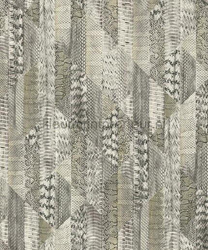 Dutch First Class Roberto Cavalli 8 19066 | Bestellen bij https://www.kleurmijninterieur.nl/