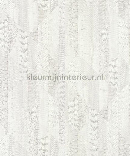Dutch First Class Roberto Cavalli 8 19068 | Bestellen bij https://www.kleurmijninterieur.nl/
