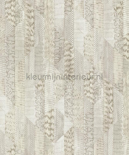 Dutch First Class Roberto Cavalli 8 19069 | Bestellen bij https://www.kleurmijninterieur.nl/