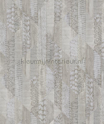 Dutch First Class Roberto Cavalli 8 19071 | Bestellen bij https://www.kleurmijninterieur.nl/