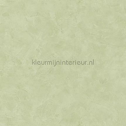 Caselio Patine PAI100227690 | Bestellen bij https://www.kleurmijninterieur.nl/